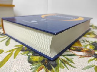 Ortografia de la Lengua Española RAE (Spanish Edition)