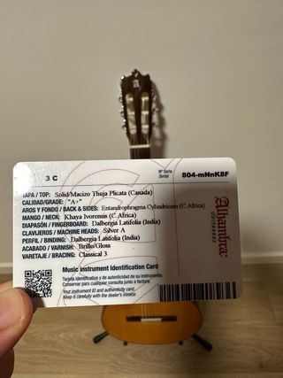 Guitarra alhambra 3C