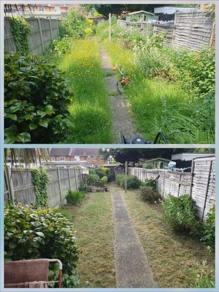 Jardinero económico