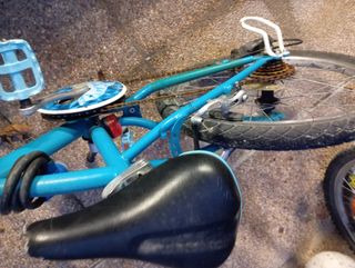 Bicicleta niña 20 pulgadas.