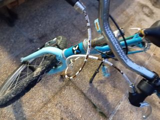 Bicicleta niña 20 pulgadas.