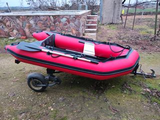 DUCAUTO DELFIN PESCADOR