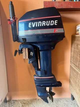 DUCAUTO DELFIN PESCADOR