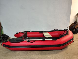 DUCAUTO DELFIN PESCADOR