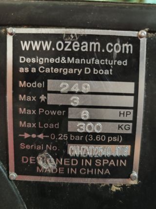 DUCAUTO DELFIN PESCADOR