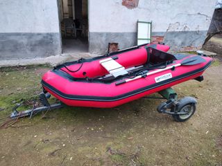 DUCAUTO DELFIN PESCADOR