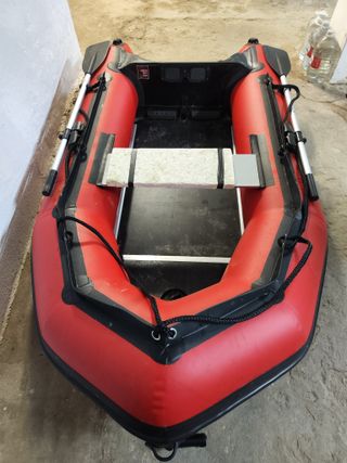 DUCAUTO DELFIN PESCADOR