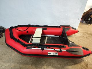 DUCAUTO DELFIN PESCADOR