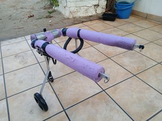 Silla de ruedas para perros 