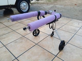 Silla de ruedas para perros 
