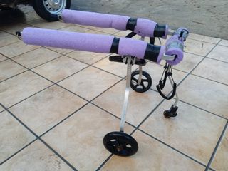 Silla de ruedas para perros 