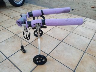 Silla de ruedas para perros 