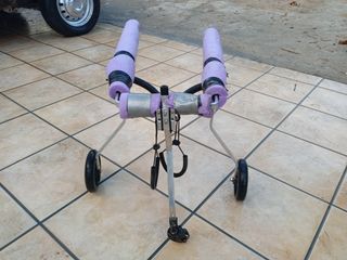 Silla de ruedas para perros 