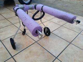 Silla de ruedas para perros 