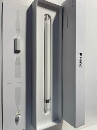 Apple pencil y funda de regalo.