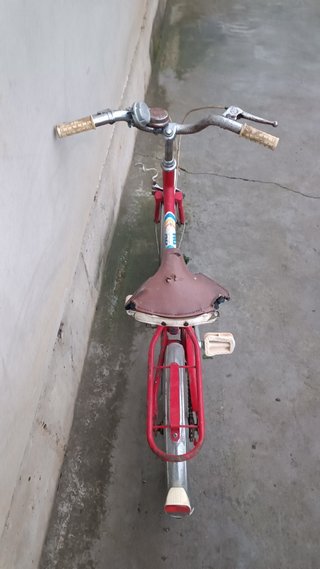 Bh de paseo para nińos