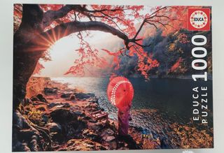 Puzzle de 1000 piezas