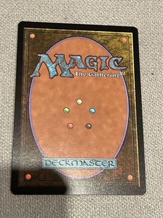Estadio del sotobosque mtg