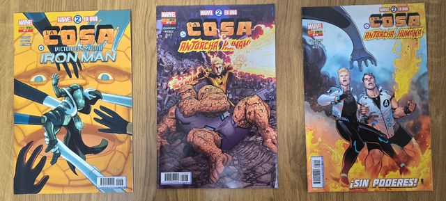 LA COSA Y LA ANTORCHA, PANINI, VERTICE, FORUM