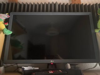 Televisión LG "24"