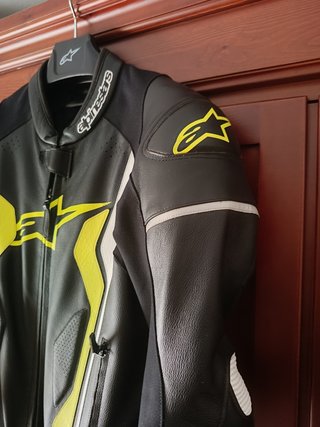 Mono Alpinestar GP Force