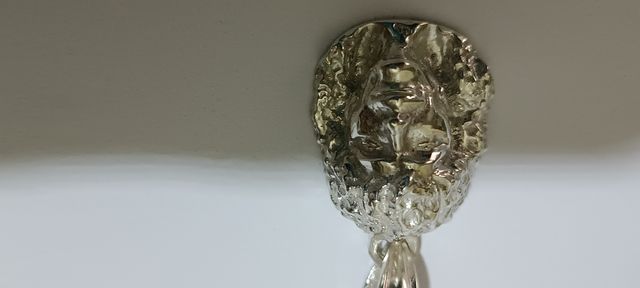 colgate camaron de la isla en plata de ley