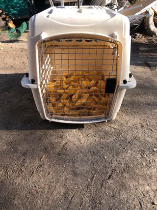 Transportin Perro Mediano