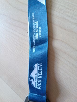 Medalla subida al pico veleta