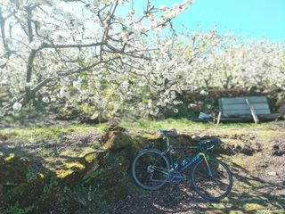 Giant tcr Di2 Advan Sl 2018