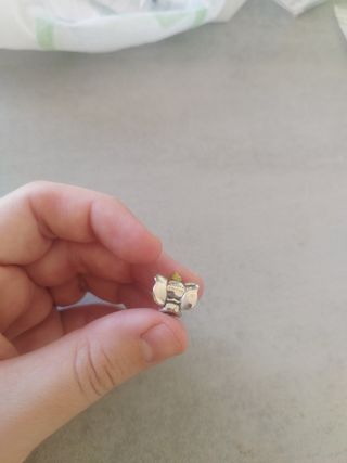 Charm de Dumbo de plata 