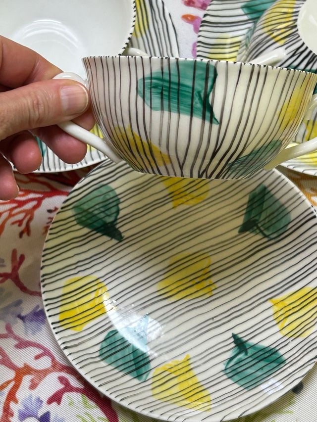 Conjunto consomé Sargadelos