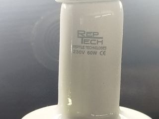 Terrario, canario,camaleón,erizo,iguana, hamster,