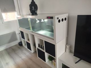 Terrario, canario,camaleón,erizo,iguana, hamster,