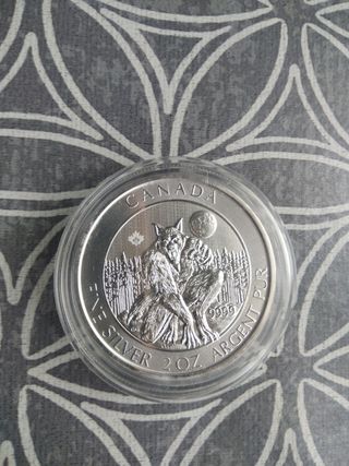 Moneda 2 Oz Hombre Lobo Canadá 2021