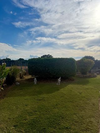 Jardinero en Huesca y alrededores
