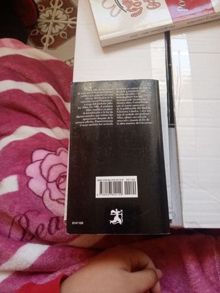 DON QUIJOTE DE LA MANCHA 1