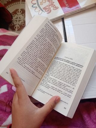 DON QUIJOTE DE LA MANCHA 1