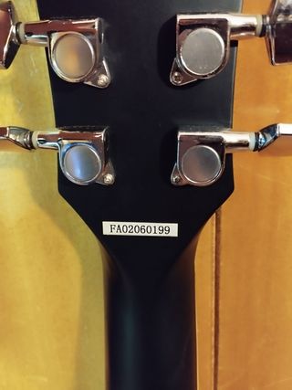 Guitarra acústica palisade D30