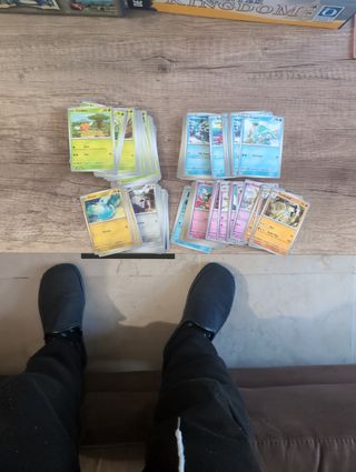 Cartas Pokémon Obsidian Flames (+100)