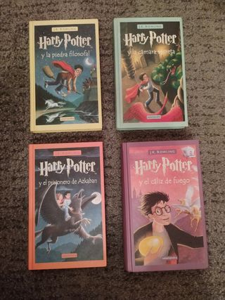 Lote libros Harry Potter