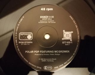 POLAR POP EISBAER