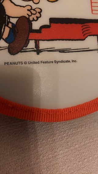 Porta Cd/Dvd/Giochi Originale Peanuts