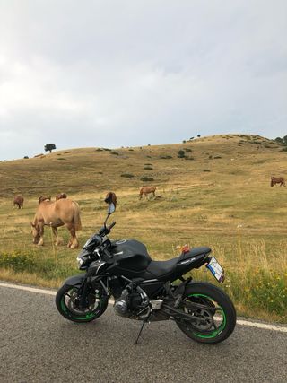 Kawasaki Z650 A2