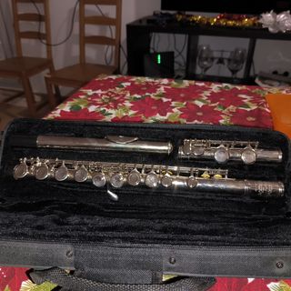 Flauta travesera NEGOCIABLE!!