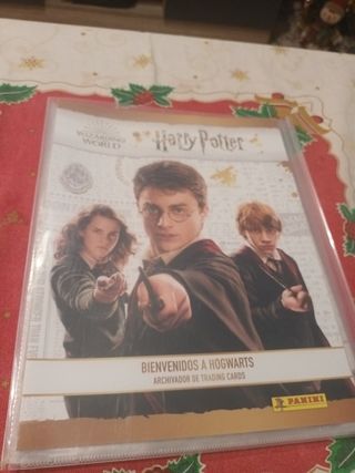 Libro pegatinas juvenil Harry Potter