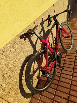 Trek Madone SLR 8