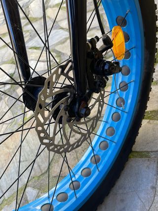Bicicleta fat bike