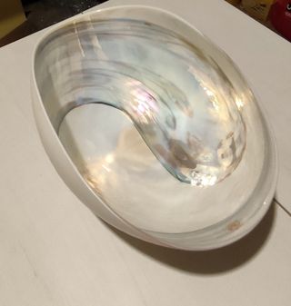 Centrotavola Yalos Vetro Murano