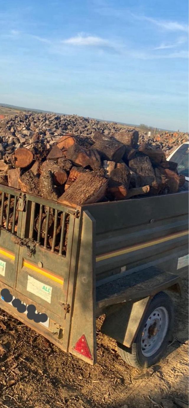 Leña de encina y olivo