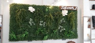 Super jardín para pared 🧱🏡